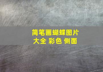 简笔画蝴蝶图片大全 彩色 侧面